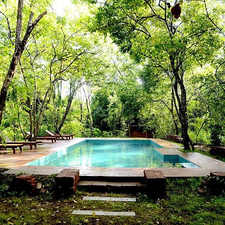 Hotel Mahagedara Wellness Retreat Avudangawa Esterno foto