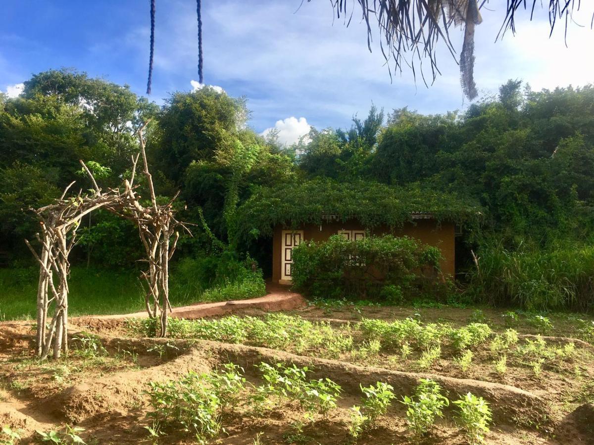 Hotel Mahagedara Wellness Retreat Avudangawa Esterno foto